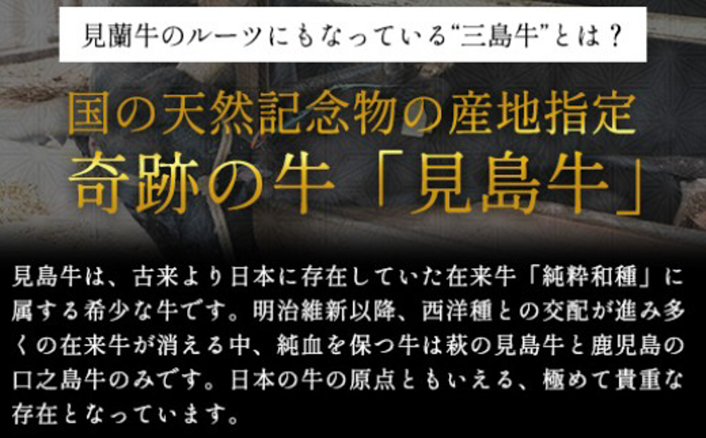 驕薙ョ鬧 關ゥ蠕驍 莠コ豌励Ξ繧ケ繝医Λ繝ウ 縲檎私縲阪が繝ェ繧ク繝翫Ν繧サ繝繝 驥 4莠コ蜑