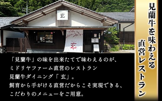 驕薙ョ鬧 關ゥ蠕驍 莠コ豌励Ξ繧ケ繝医Λ繝ウ 縲檎私縲阪が繝ェ繧ク繝翫Ν繧サ繝繝 驥 4莠コ蜑