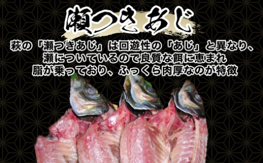 謨ー驥城剞螳壹サ關ゥ縺ョ轢ャ縺、縺阪≠縺倬幕縺(迚ケ螟ァ繧オ繧、繧コ/蜈ィ髟キ30cm蜑榊セ後r5蟆セ蜈・繧)