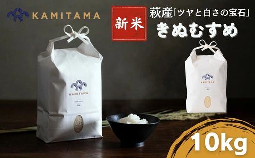 きぬむすめ 令和8年 10kg 米 コメ こめ 萩産 KAMITAMA