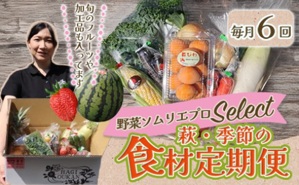 野菜ソムリエプロselect／萩・季節の食材定期便 6回コース