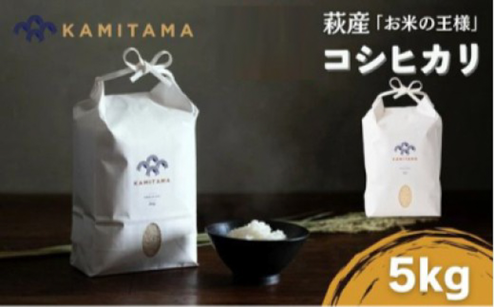 コシヒカリ 令和7年 5kg 米 コメ こめ 萩産 KAMITAMA