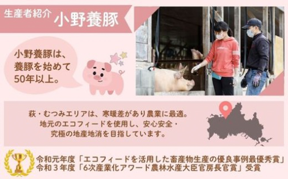 豚まん セット 萩むつみ豚 4個入り 2箱