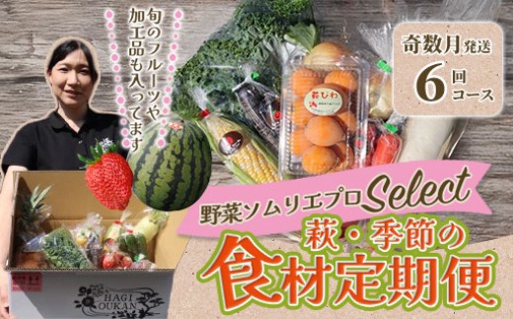 野菜ソムリエプロselect/萩・季節の食材定期便 奇数月発送・6回コース
