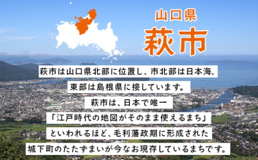 山口県萩市への応援寄付金[返礼品なし] 10,000円分