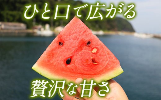 繧ケ繧、繧ォ 10kg莉・荳 關ゥ繝サ螟上ョ驫伜刀 逶ク蟲カ 隘ソ逑 遘蜩 螟ァ邇峨☆縺縺 繝輔Ν繝シ繝 譫懃黄 譫懃黄鬘 雍育ュ泌刀 繧ョ繝輔ヨ