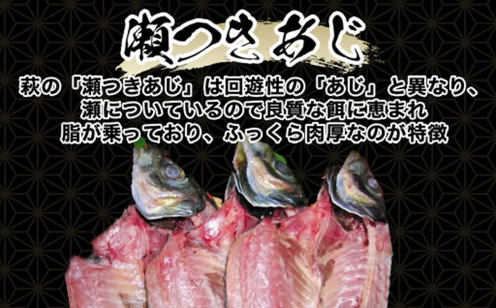手開きひものセット「めでた」