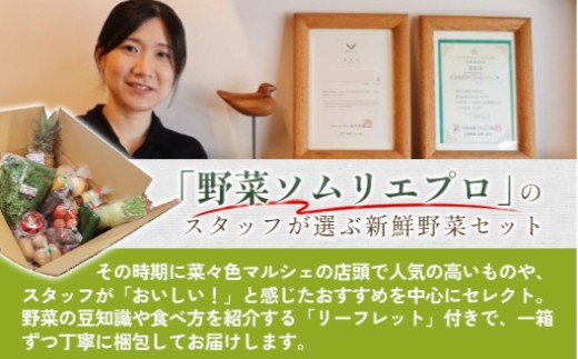 繧ケ繧、繧ォ 10kg莉・荳 關ゥ繝サ螟上ョ驫伜刀 逶ク蟲カ 隘ソ逑 遘蜩 螟ァ邇峨☆縺縺 繝輔Ν繝シ繝 譫懃黄 譫懃黄鬘 雍育ュ泌刀 繧ョ繝輔ヨ