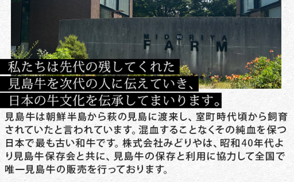 繝上Φ繝舌シ繧ー 繧サ繝繝 驥 5鬟 驕薙ョ鬧 關ゥ蠕驍 莠コ豌励Ξ繧ケ繝医Λ繝ウ 邇縺ョ繝上Φ繝舌シ繧ー繧サ繝繝