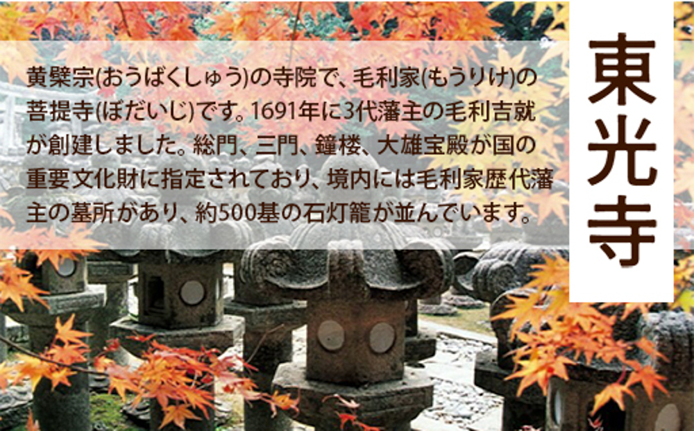譌陦悟虻 螻ア蜿」 關ゥ繧ェ繝シ繝繝シ繝。繧、繝 150,000蜀蛻 繧ッ繝シ繝昴Φ 譌陦 繝√こ繝繝 隕ウ蜈 螳ソ豕 螳ソ豕雁虻 繝帙ユ繝ォ 譌鬢ィ
