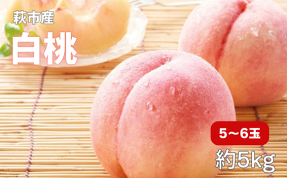 小川桃（萩産）大玉5〜6玉【配達不可：北海道・沖縄・離島】
