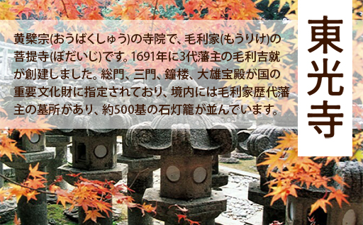 縲後カ繧峨j關ゥ縲崎ヲウ蜈峨ち繧ッ繧キ繝シ繝励Λ繝ウ繝壹い蛻ゥ逕ィ蛻ク
