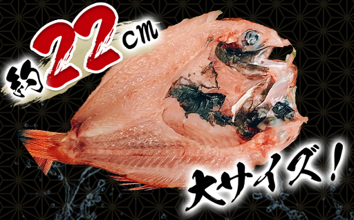 手開きひものセット「めでた」
