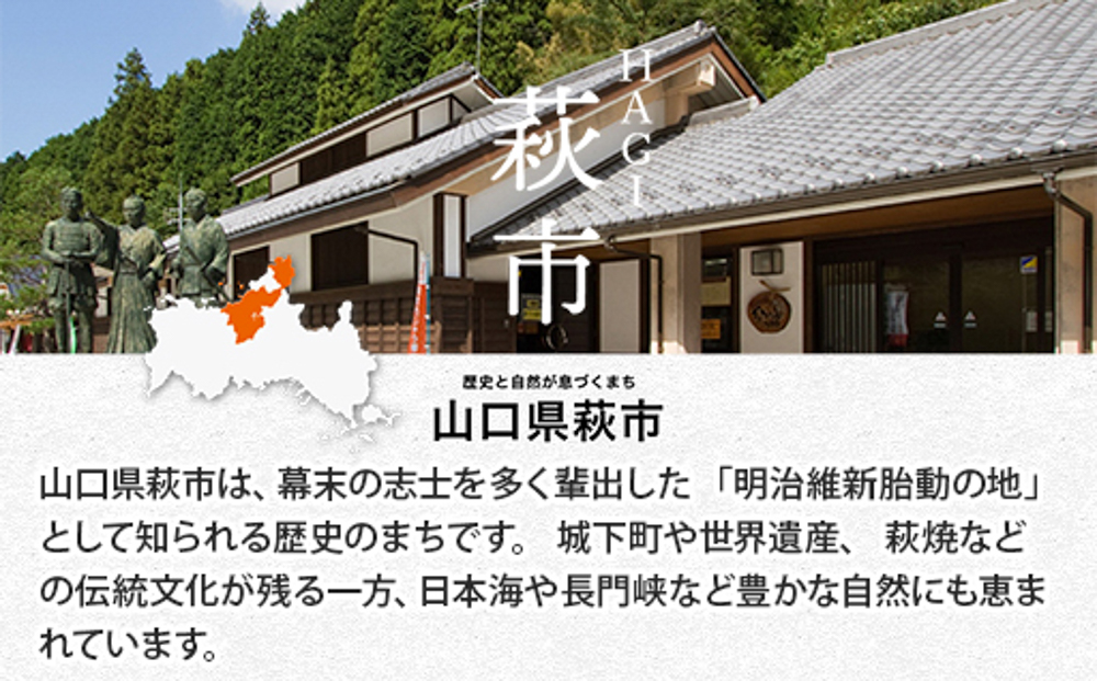 萩名産夏蜜柑／萩・夏蜜柑ジュース 4倍濃縮・3本セット