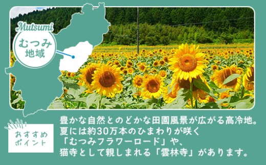 山口県萩市への応援寄付金[返礼品なし] 30,000円分