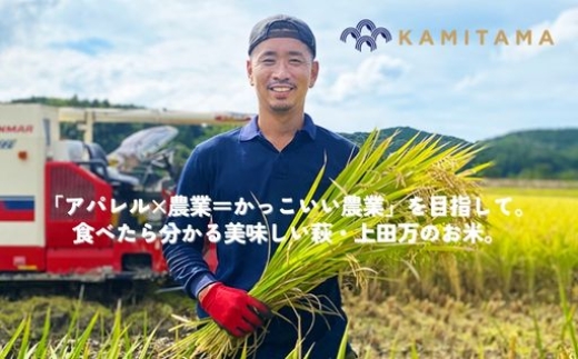 きぬむすめ 令和7年 5kg 米 コメ こめ 萩産 KAMITAMA