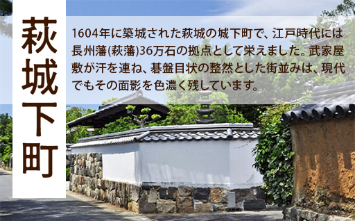 縲後カ繧峨j關ゥ縲崎ヲウ蜈峨ち繧ッ繧キ繝シ繝励Λ繝ウ繝壹い蛻ゥ逕ィ蛻ク