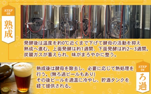 蝓惹ク狗伴繝サ關ゥ縺ョ蝨ー繝薙シ繝ォシ上メ繝ァ繝ウ繝槭ご繝薙シ繝ォ 6譛ャ繧サ繝繝(3遞ョテ2譛ャ)