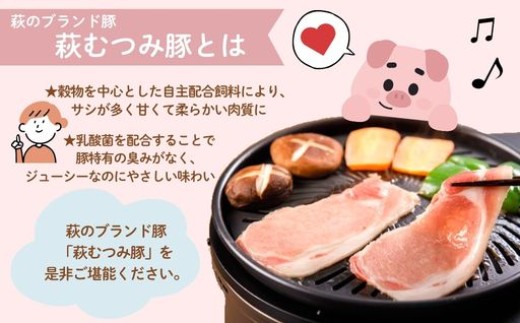 豚まん セット 萩むつみ豚 4個入り 2箱