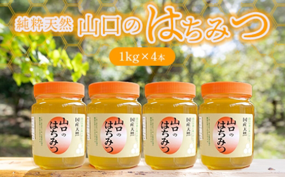 純粋天然 山口のはちみつ1kg 4本