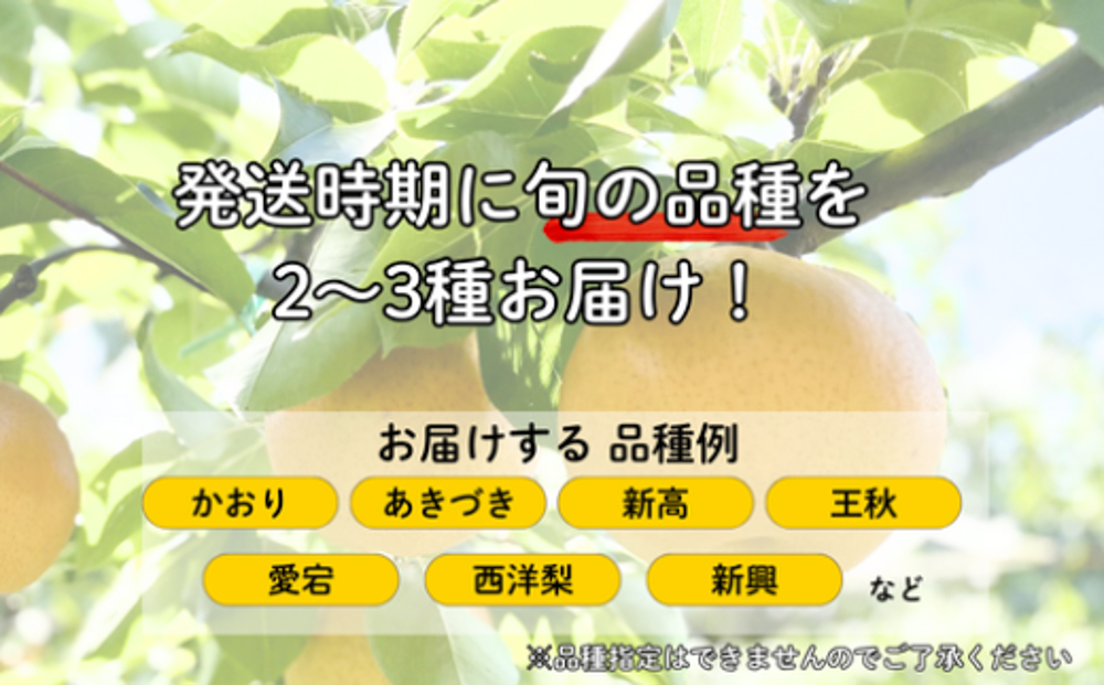 譴ィ 隧ー繧∝粋繧上○ 蜈郁。御コ育エ 邏6邇 蟆丞キ晄「ィ 蟄」遽縺ョ蜩∫ィョ 關ゥ逕」