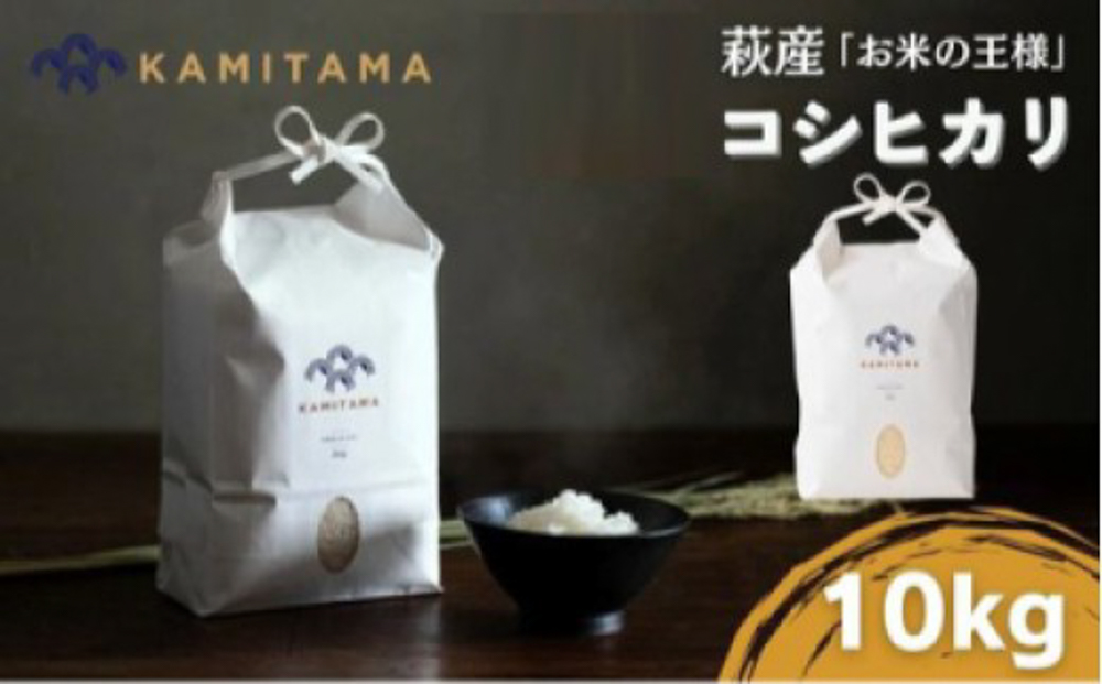 コシヒカリ 令和7年 10kg 米 コメ こめ 萩産 KAMITAMA