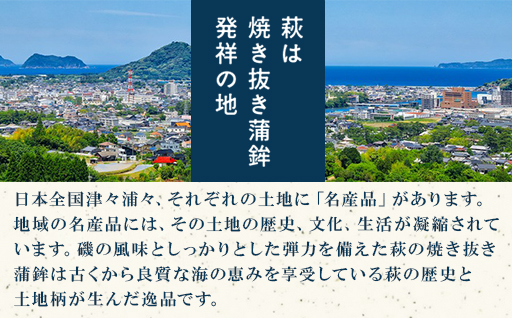 【蒲鉾、竹輪、天ぷら】村田ギフト C-2 化粧箱入り