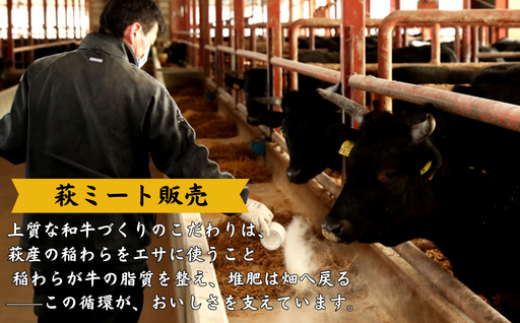 髟キ關ゥ蜥檎央蛻繧願誠縺ィ縺 500g
