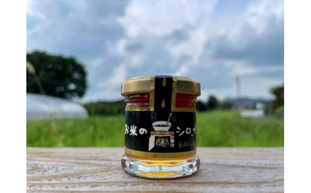 無添加 セット お米のシロップ 35g×6個 調味料選手権 最優秀賞 受賞 シロップ 甘味料 健康