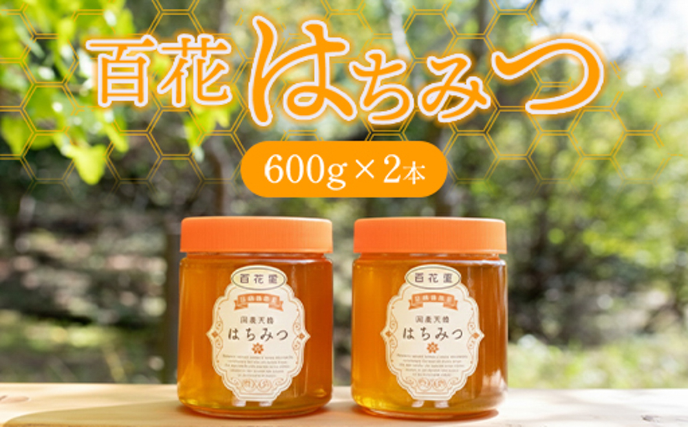 純粋天然 百花はちみつ 600g×2本