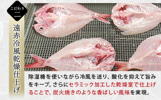 謨ー驥城剞螳壹サ關ゥ縺ョ轢ャ縺、縺阪≠縺倬幕縺(迚ケ螟ァ繧オ繧、繧コ/蜈ィ髟キ30cm蜑榊セ後r5蟆セ蜈・繧)