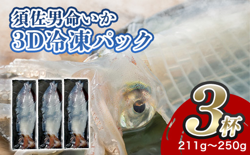 自宅で透明感を再現！須佐男命いかの姿造り（刺身）特殊冷却「3D冷凍」パック ３個