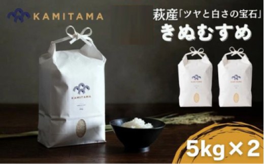 きぬむすめ 令和7年 5kg 米 コメ こめ 萩産 KAMITAMA