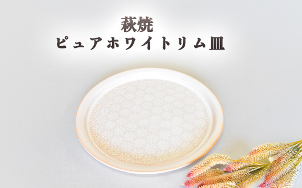 萩焼 ピュアホワイトリム皿