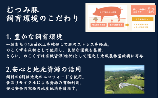 雎夊i 縺縺吝繧 1000g 關ゥ繧縺、縺ソ雎 蝗ス逕」 閧 縺願i 雎