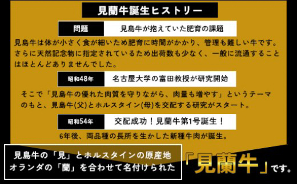 驕薙ョ鬧 關ゥ蠕驍 莠コ豌励Ξ繧ケ繝医Λ繝ウ 縲檎私縲阪が繝ェ繧ク繝翫Ν繧サ繝繝 驥 4莠コ蜑