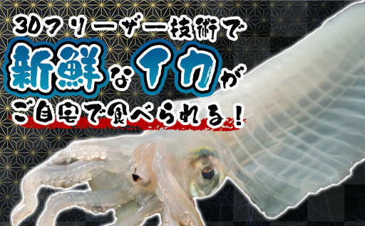 閾ェ螳縺ァ騾乗取─繧貞咲樟シ鬆井ス千塙蜻ス縺縺九ョ蟋ソ騾繧奇シ亥絢霄ォシ臥音谿雁キ蜊エ縲3D蜀キ蜃阪阪ヱ繝繧ッ 1蛟