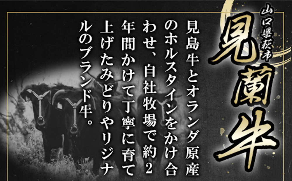 繝上Φ繝舌シ繧ー 繧サ繝繝 驥 5鬟 驕薙ョ鬧 關ゥ蠕驍 莠コ豌励Ξ繧ケ繝医Λ繝ウ 邇縺ョ繝上Φ繝舌シ繧ー繧サ繝繝