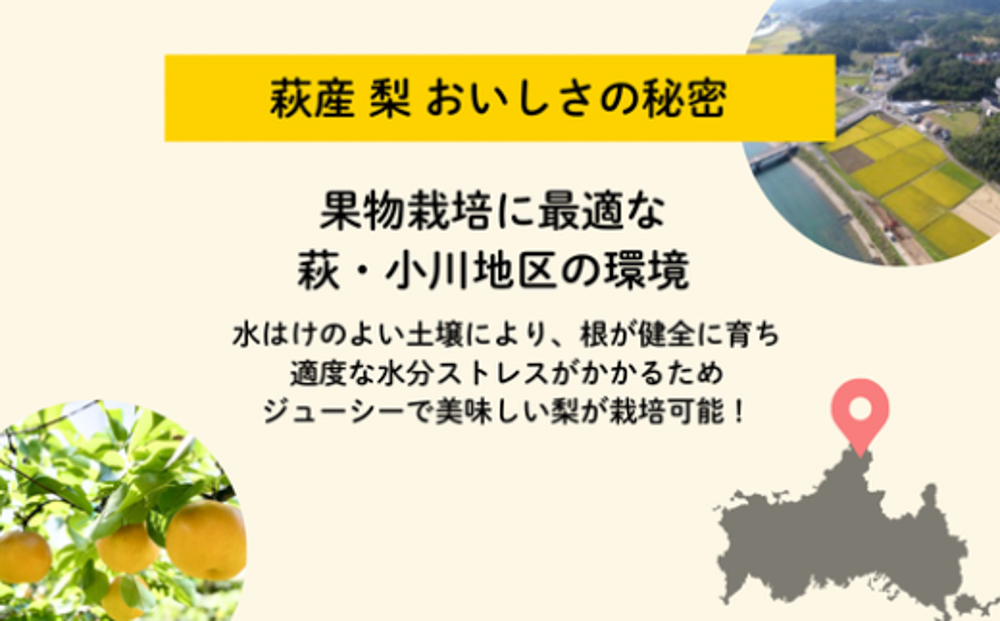 譴ィ 隧ー繧∝粋繧上○ 蜈郁。御コ育エ 邏6邇 蟆丞キ晄「ィ 蟄」遽縺ョ蜩∫ィョ 關ゥ逕」