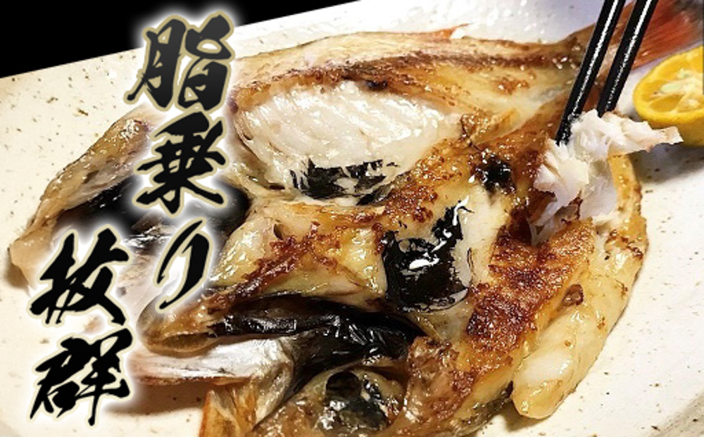 手開きひものセット「めでた」
