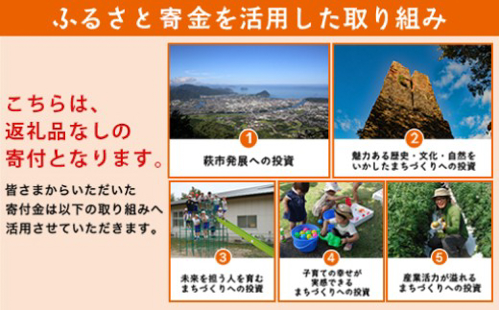 山口県萩市への応援寄付金[返礼品なし] 30,000円分
