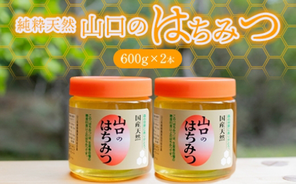 純粋天然 山口のはちみつ600g 2本