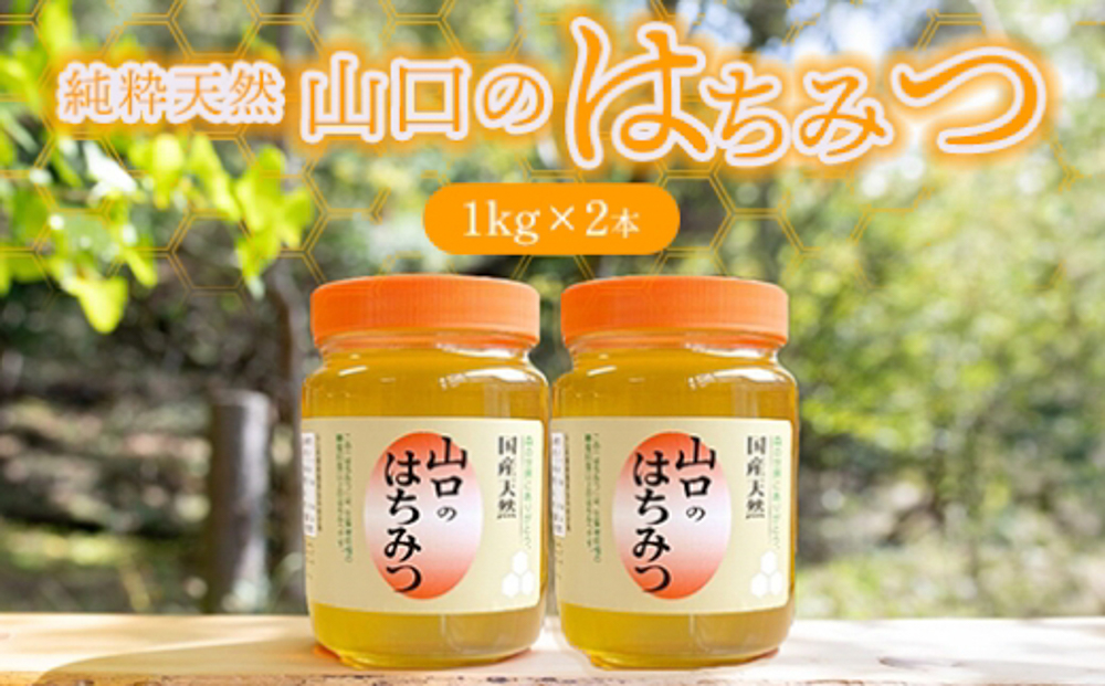純粋天然 山口のはちみつ1kg 2本