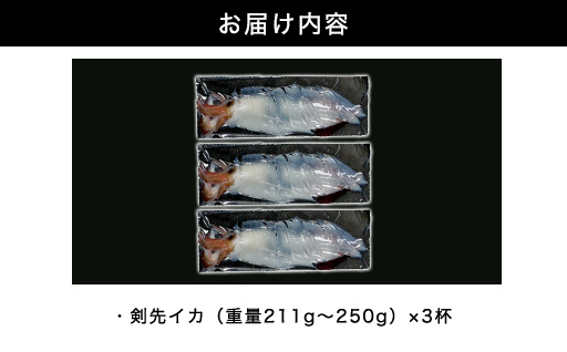 閾ェ螳縺ァ騾乗取─繧貞咲樟シ鬆井ス千塙蜻ス縺縺九ョ蟋ソ騾繧奇シ亥絢霄ォシ臥音谿雁キ蜊エ縲3D蜀キ蜃阪阪ヱ繝繧ッ シ灘