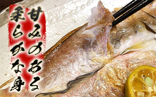手開き萩産甘鯛3枚セット
