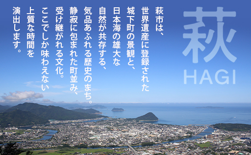 縲後カ繧峨j關ゥ縲崎ヲウ蜈峨ち繧ッ繧キ繝シ繝励Λ繝ウ繝壹い蛻ゥ逕ィ蛻ク