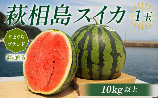 相島すいか