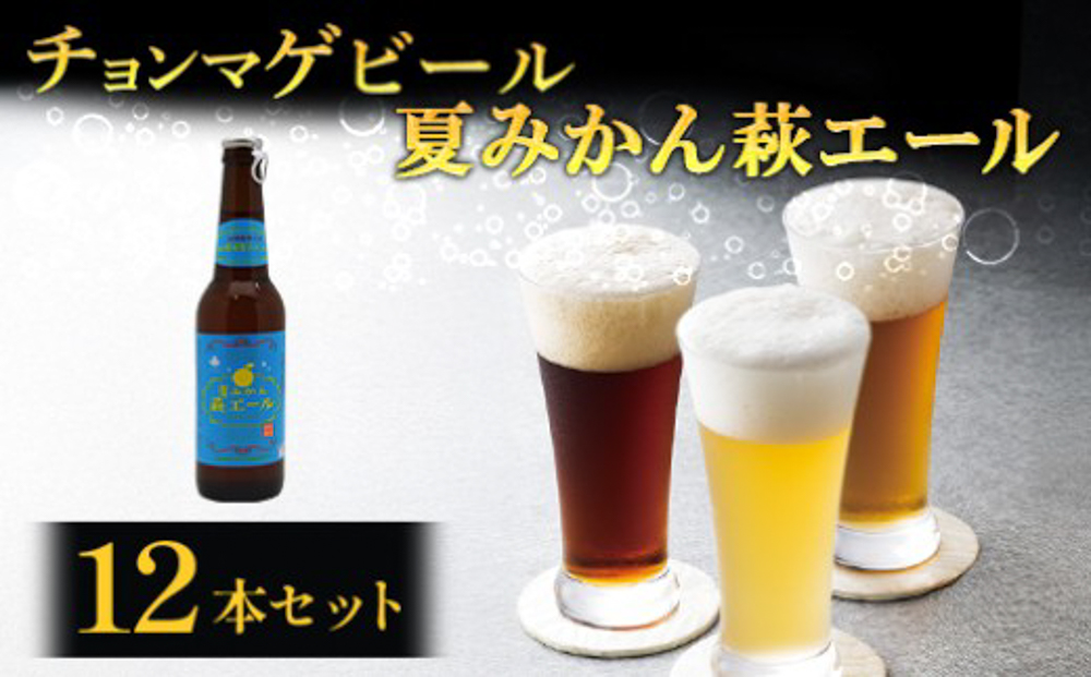 城下町・萩の地ビール／夏みかん萩エール12本セット