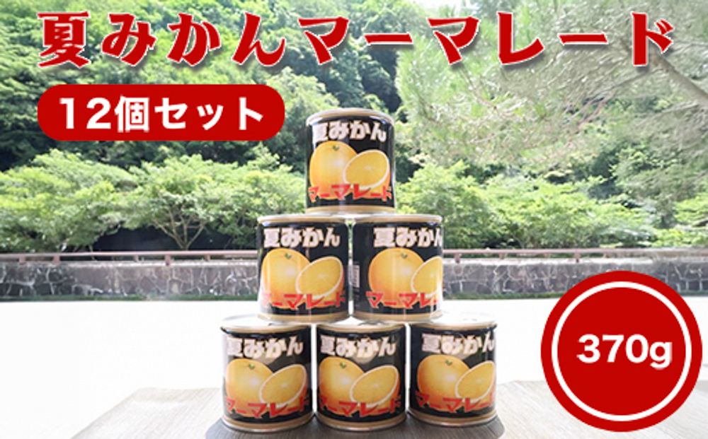 萩名産夏蜜柑／夏みかんマーマレード缶 12個セット