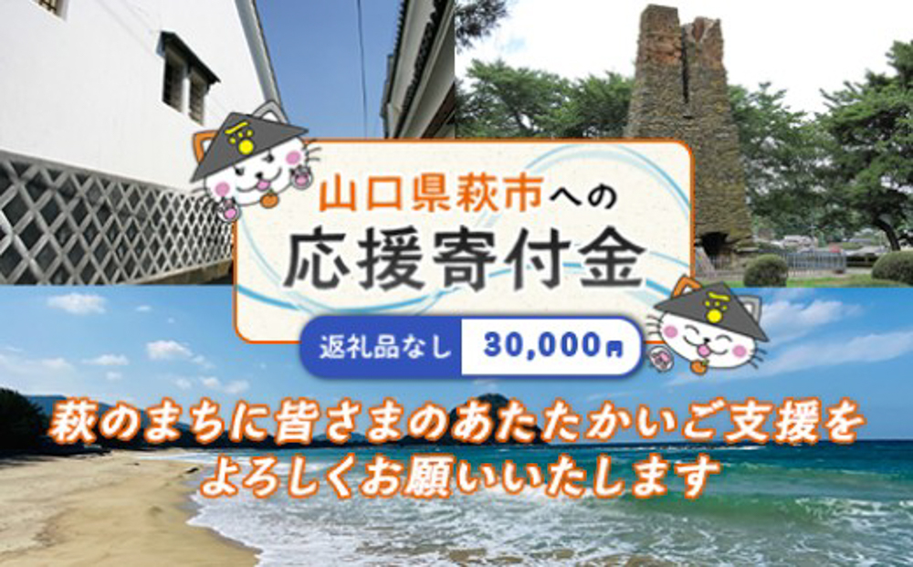 山口県萩市への応援寄付金[返礼品なし] 30,000円分